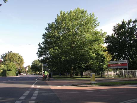 University Main Gate Shinfiled Road